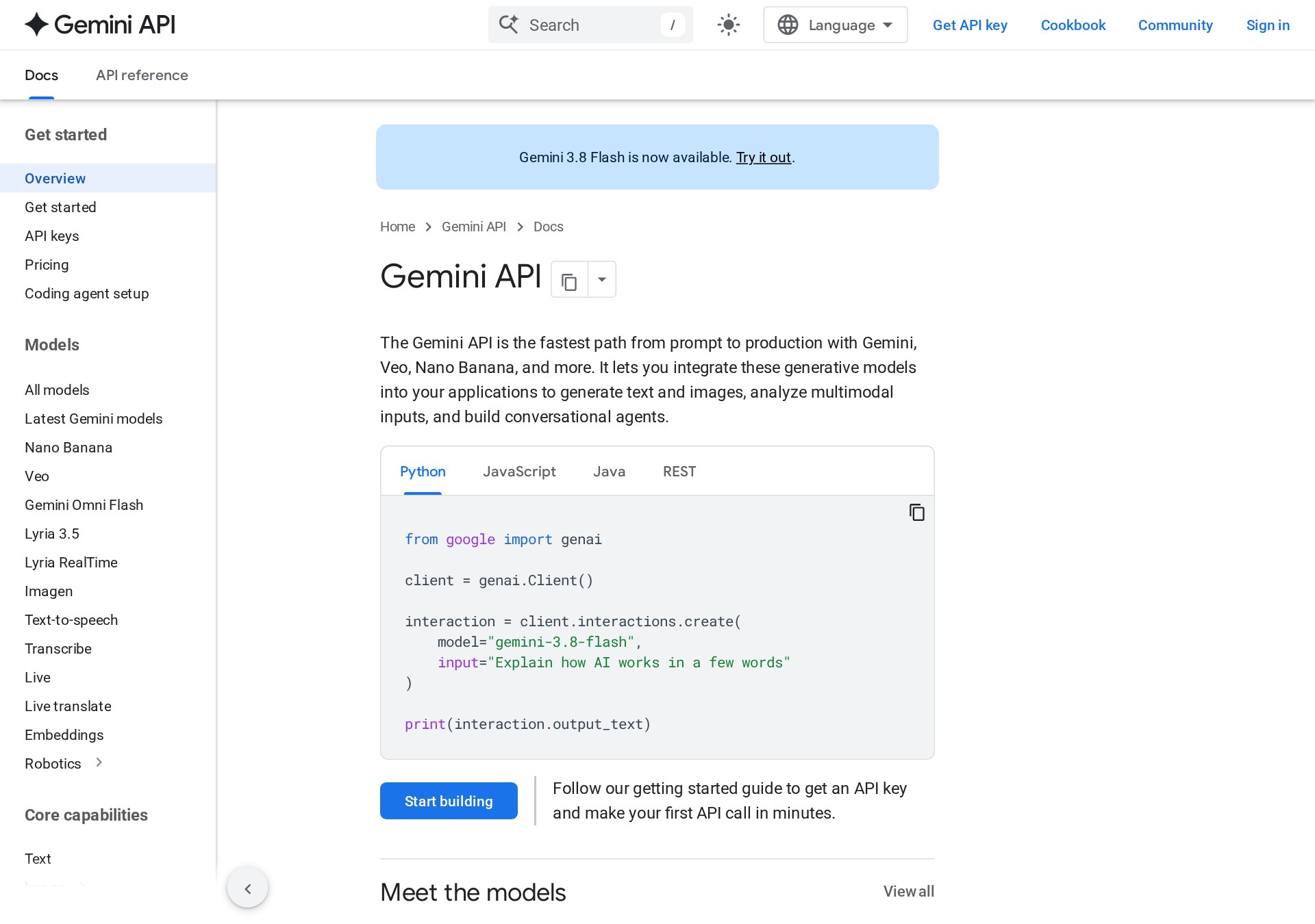 Gemini API official docs (captured directly)