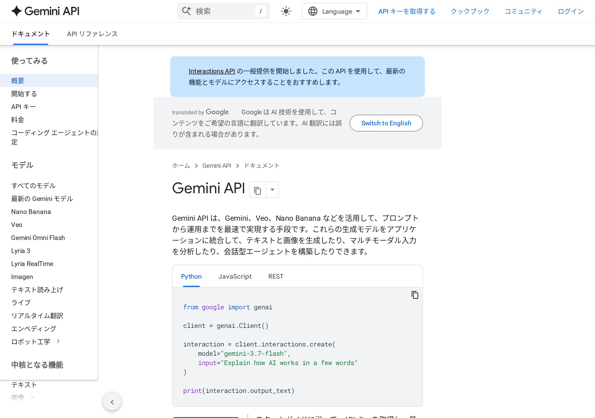 Gemini API 公式ドキュメント（直接キャプチャ）