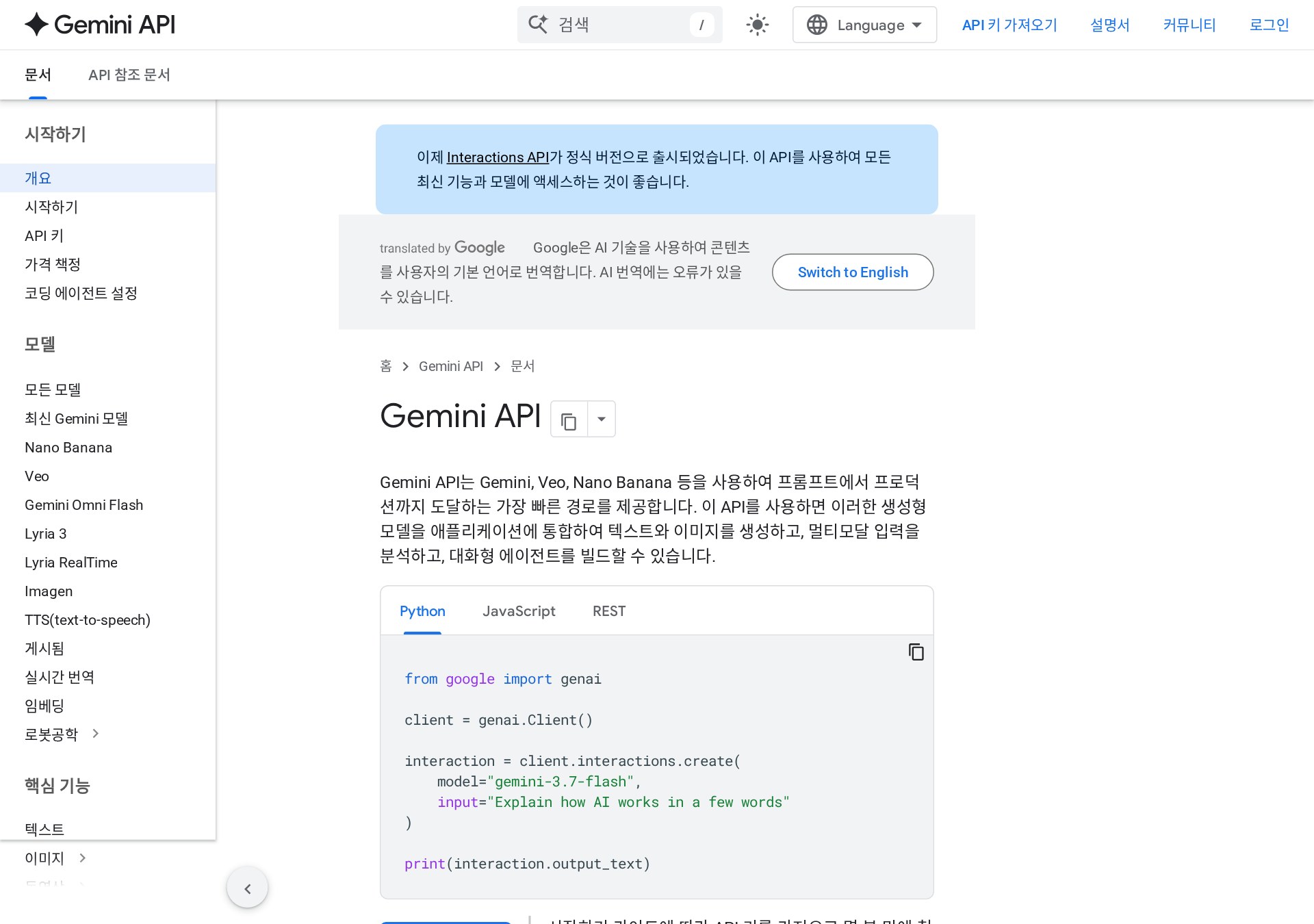 Gemini API 공식 문서 한국어 화면(직접 캡처)